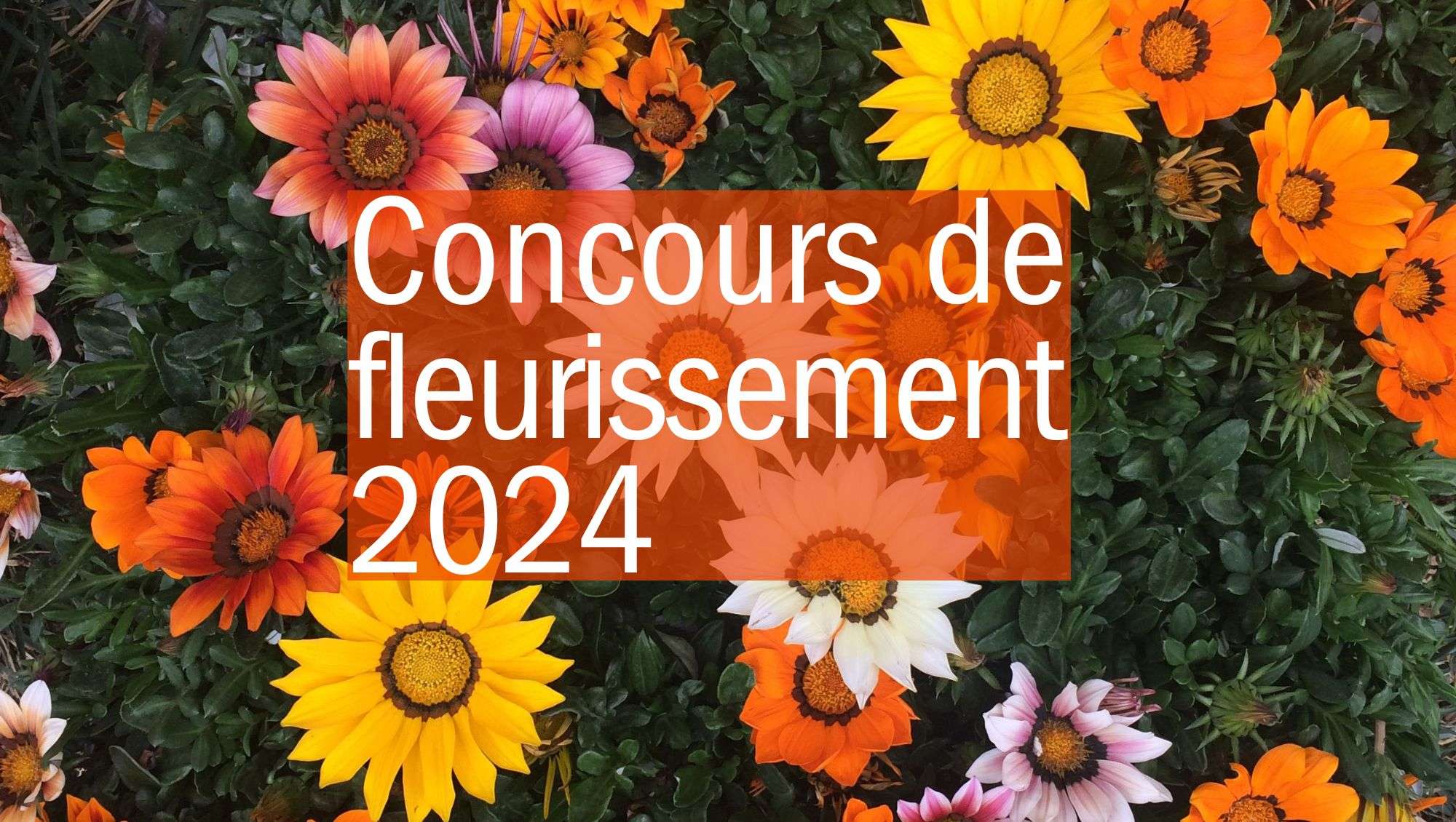 Illustration fleurir le coteau 2024